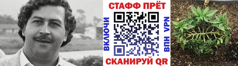 Купить наркотики Суворов МДМА МЕФ Alpha PVP Гашиш Cocaine МАРИХУАНА