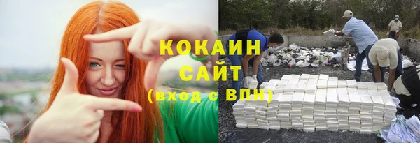 твердый Арсеньев