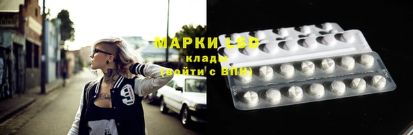 твердый Арсеньев