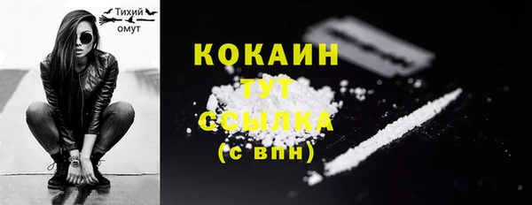 твердый Арсеньев