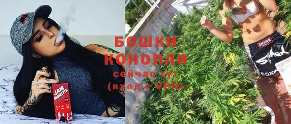стаф Аркадак