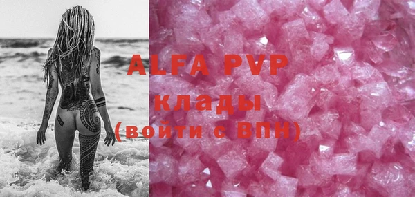стаф Аркадак