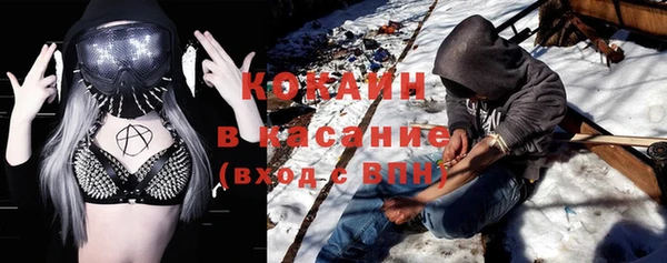 твердый Арсеньев