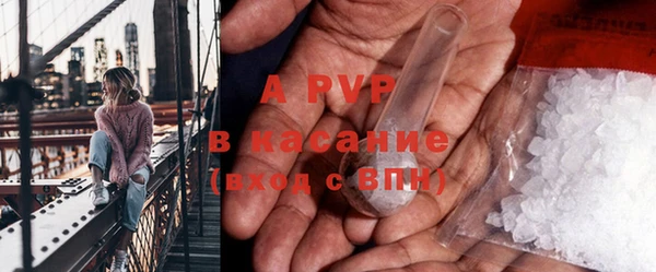 твердый Арсеньев