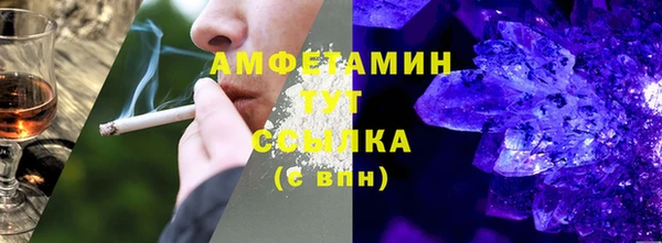 стаф Аркадак