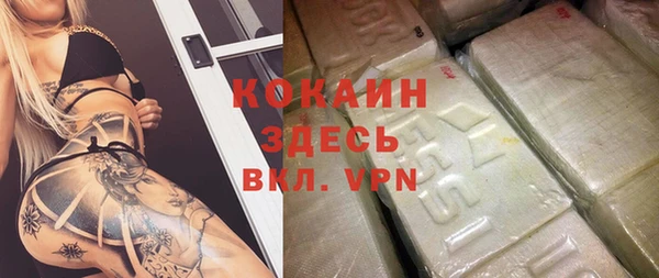 твердый Арсеньев