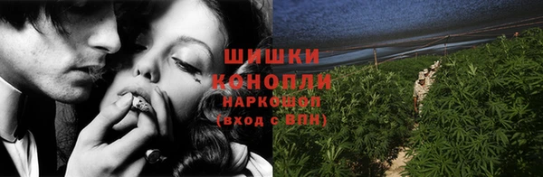 стаф Аркадак