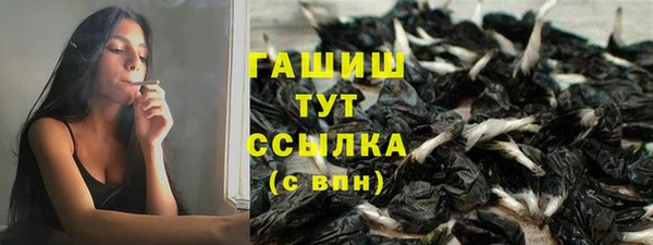 твердый Арсеньев